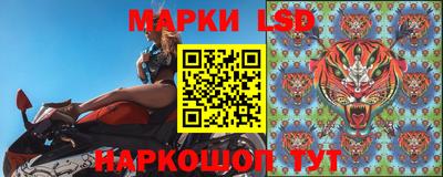 эйфоретик Берёзовский