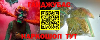 крисы Бийск