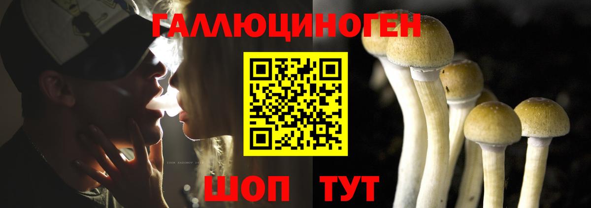 Псилоцибиновые грибы MAGIC MUSHROOMS  Лангепас  Галлюциногенные грибы Magic Shrooms 